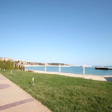 Studio Arendoo In Aurelia